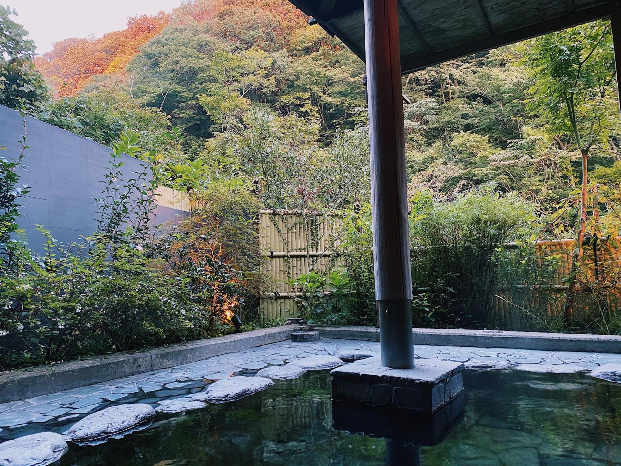 Onsen Guest House Tsutaya Hakone Eksteriør billede
